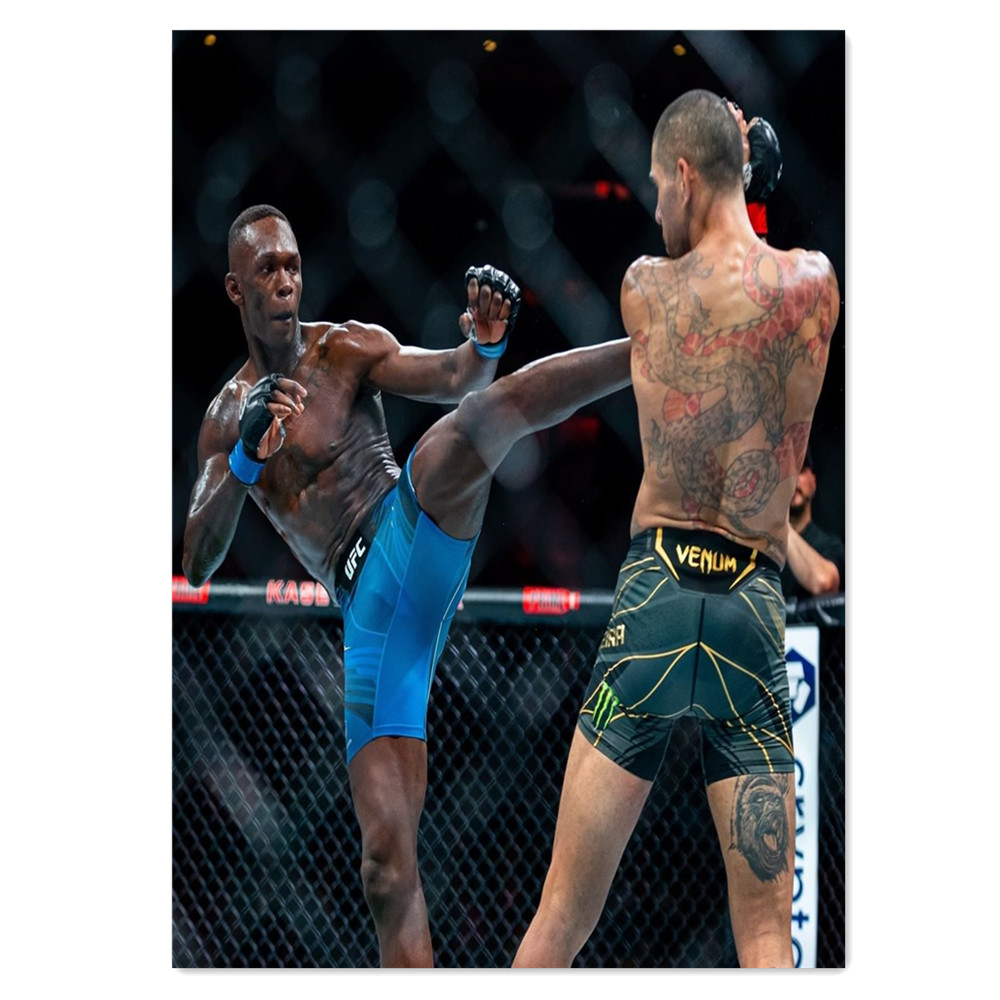 Boxing Bodybuilder Canvas Pain - Home Gym Wallpaper recension och pris