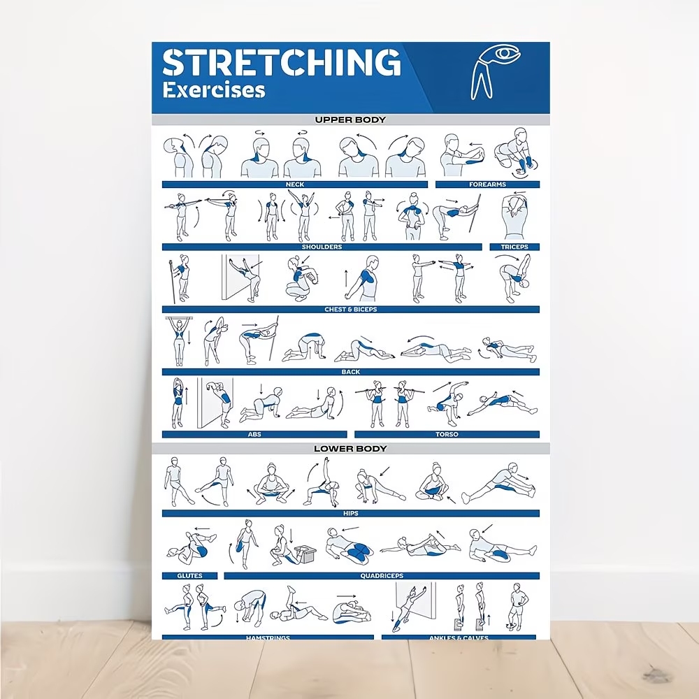 Modern Labeled Full-Body Stret - Home Gym Decor recension och pris