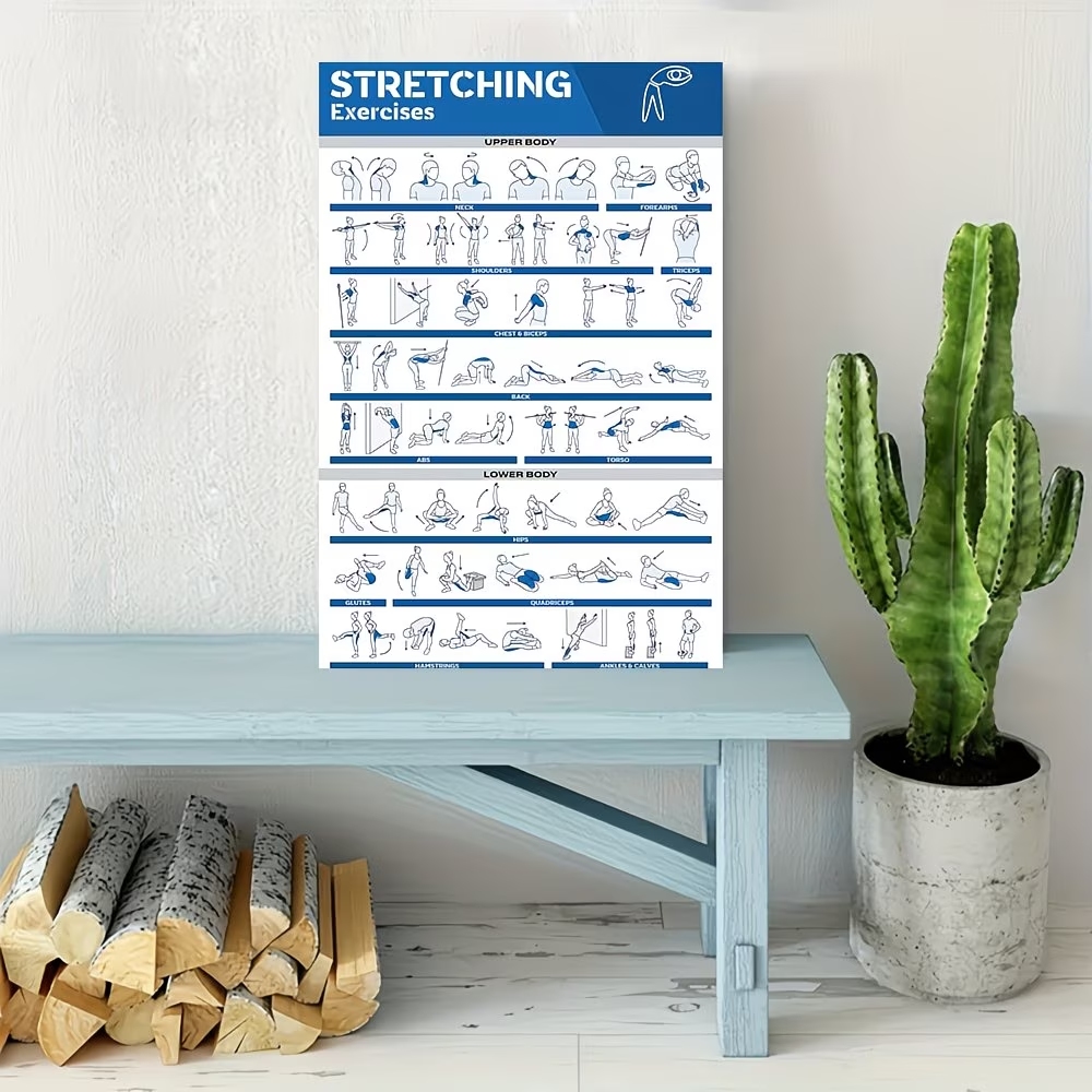 Modern Labeled Full-Body Stret - Home Gym Decor recension och pris