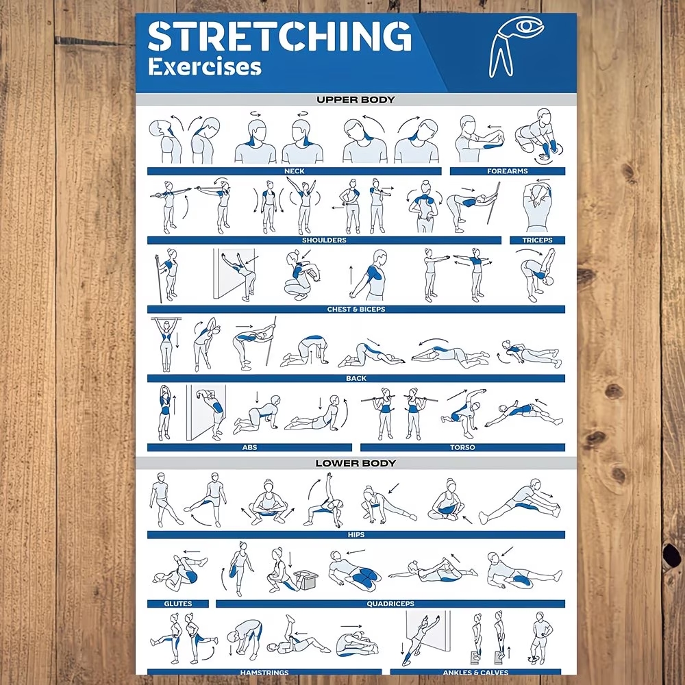 Modern Labeled Full-Body Stret - Home Gym Decor recension och pris