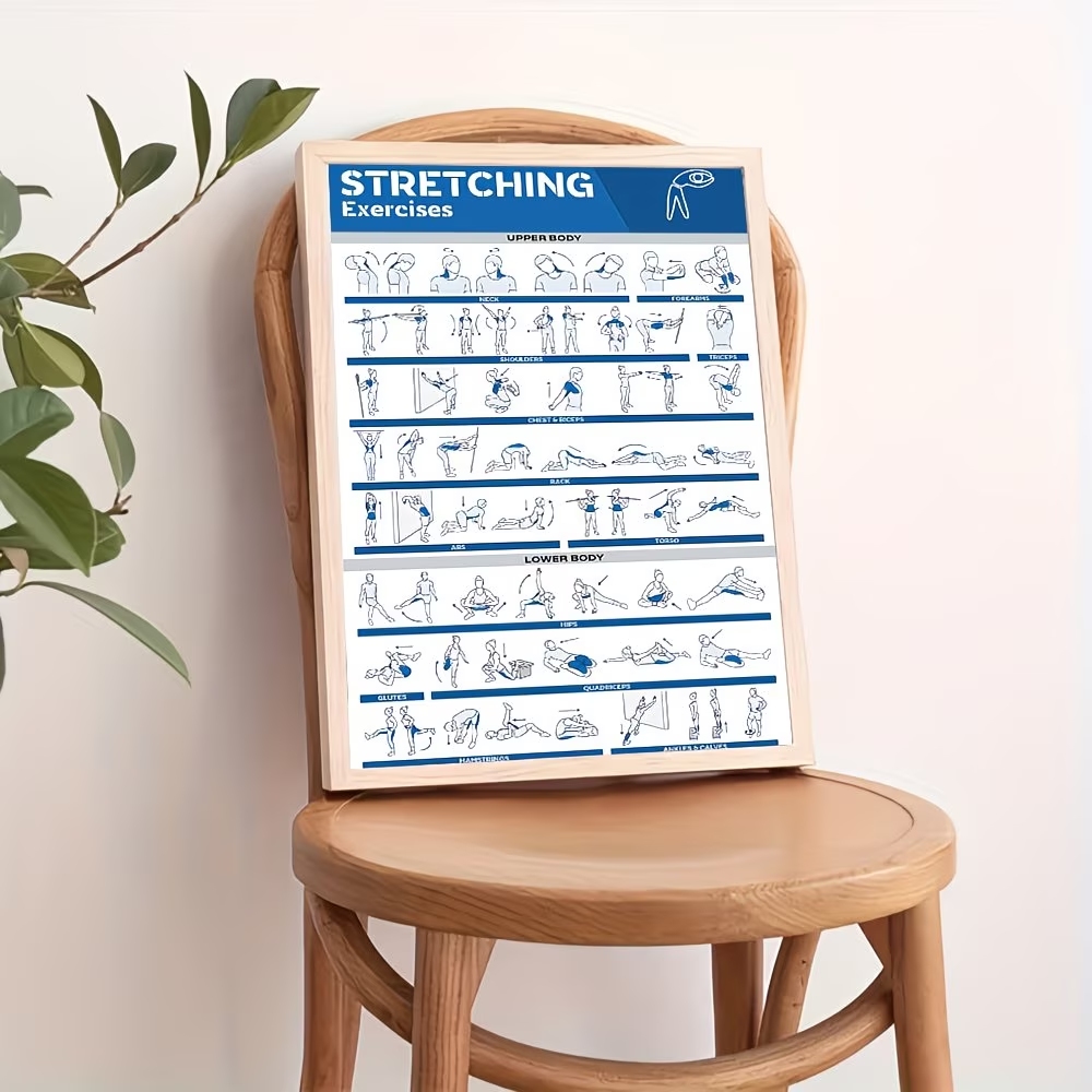 Modern Labeled Full-Body Stret - Home Gym Decor recension och pris