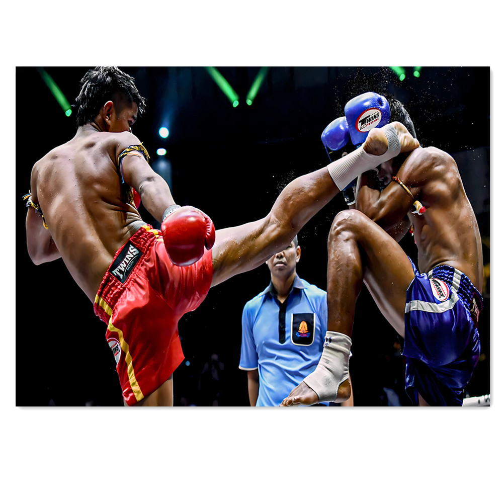 Muay Thai Kick Canvas Painting - Home Gym Wallpaper recension och pris