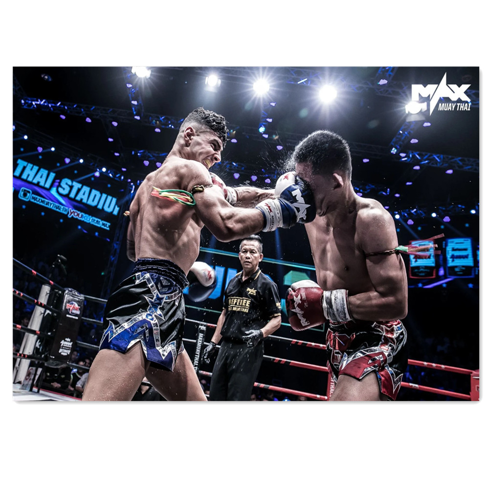 Watercolor Boxing Canvas Paint - Home Gym Wallpaper recension och pris